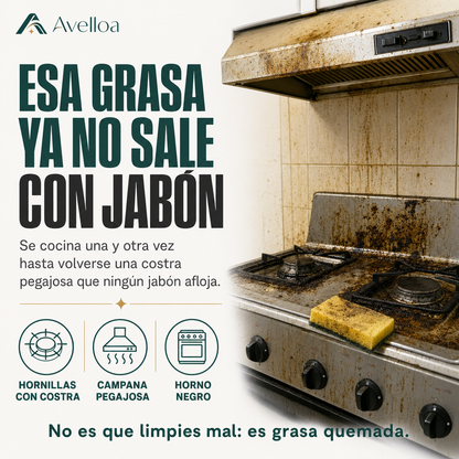 Liapu desengrasante de cocina en espuma 500 ml